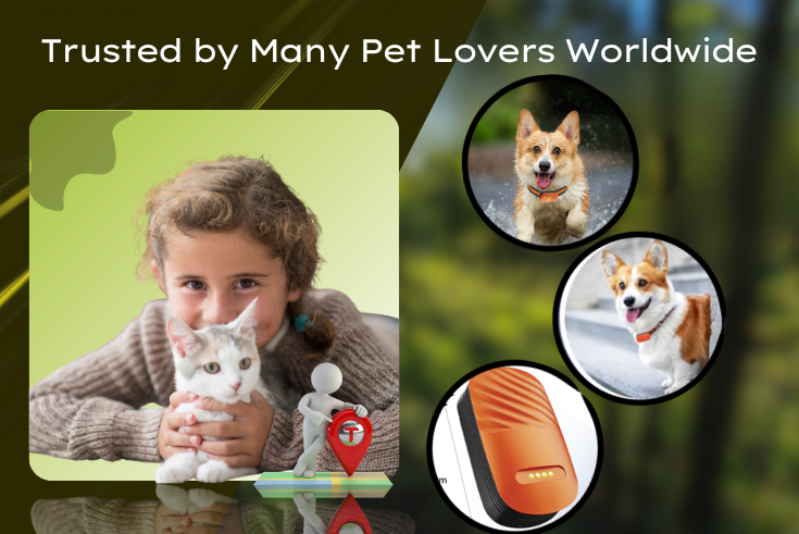 Pet GPS Tracker in Action